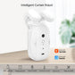 Wifi Curtain Robot Smart Home